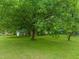 Large backyard with green grass, mature shade trees and a storage building at 218 Forestville Rd, Wake Forest, NC 27587
