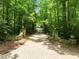Long, brick driveway that is surrounded by trees, creating a grand entrance to the home at 300 Oak Ridge Dr, Hillsborough, NC 27278
