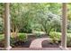 Beautiful landscaping in backyard featuring mature trees and shrubs at 300 Oak Ridge Dr, Hillsborough, NC 27278