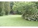 Lush backyard featuring a sprawling lawn, mature trees, and a charming wooden fence in a serene setting at 3145 Pier Pointe Dr, Creedmoor, NC 27522