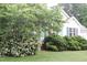 Home with manicured bushes and flowering tree in the front yard at 3145 Pier Pointe Dr, Creedmoor, NC 27522