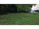 Backyard featuring lush trees, green grass, and a chain link fence at 426 Smith St, Burlington, NC 27217