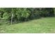 Backyard featuring lush trees, green grass, and a chain link fence at 426 Smith St, Burlington, NC 27217