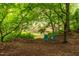 Serene backyard seating area featuring two aqua-blue Adirondack chairs near the river at 4703 Pleasant Green Rd, Durham, NC 27705