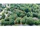Aerial view showcases approximate property lines nestled among mature trees in a desirable location at 7016 Valley Dr, Raleigh, NC 27612