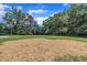 Wide shot of the large green backyard surrounded by tall trees and a bright blue sky at 802 Creech Church Rd, Kenly, NC 27542