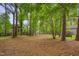Lush backyard with mature trees and a storage shed providing a private outdoor space at 1302 Valley Run Dr, Durham, NC 27707