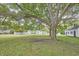 Exterior view of the lawn and mature trees in the backyard, including a tree swing at 3679 Oak Lawn Farm Rd, Oxford, NC 27565