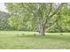Scenic pasture with sheep grazing near a white fence and a large tree, offering a tranquil rural setting at 3679 Oak Lawn Farm Rd, Oxford, NC 27565