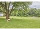 Exterior view of livestock pasture, featuring grazing sheep under a large tree at 3679 Oak Lawn Farm Rd, Oxford, NC 27565