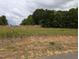 Spacious plot of land with lush greenery and potential for development or recreation at 425 Sweet Potato Lane # 14, Nashville, NC 27856