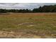 Large lot ready for building, surrounded by mature trees at 511 Sweet Potato Lane # 10, Nashville, NC 27856