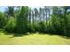 Expansive backyard with lush grass, mature trees, and natural light at 966 Airedale Trl, Garner, NC 27529