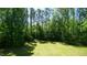 Lush backyard featuring vibrant green grass and mature trees at 966 Airedale Trl, Garner, NC 27529