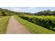 Scenic walking path beside lush greenery and a serene lake, perfect for outdoor enjoyment at 2 Lake Village Dr, Durham, NC 27713