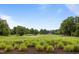 Expansive golf course view with lush green fairways, mature trees, and manicured landscaping at 200 Frenchmans Bluff Dr, Cary, NC 27513