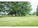 Large backyard featuring a well-maintained lawn and mature trees, perfect for outdoor enjoyment at 2120 Northcrest Dr, Elon, NC 27244
