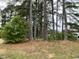 Beautiful lot with mature trees providing privacy for your dream home at 2915 Ross Rd, Durham, NC 27703