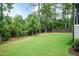 Beautifully landscaped backyard with vibrant green grass, a wooded perimeter, and a classic wooden fence for privacy at 4104 Green Chase Way, Apex, NC 27539