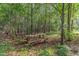 Outdoor space featuring a rustic wooden picnic table in a serene wooded area at 457 Poplar Forest Ln, Pittsboro, NC 27312