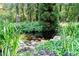 Landscaped backyard pond with koi fish, surrounded by vibrant plants, creating a tranquil oasis at 5920 Two Pines Trl, Wake Forest, NC 27587