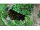 Elevated view of a serene pond filled with fish and surrounded by rock and lush foliage at 5920 Two Pines Trl, Wake Forest, NC 27587
