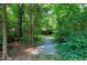 Gravel path through a lush green forest, inviting exploration and a connection with nature at 606 Oak Tree Dr, Chapel Hill, NC 27517
