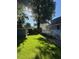Spacious backyard with green lawn, mature tree providing shade, and a view of the deck and storage shed at 627 New Road, Raleigh, NC 27608