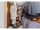 Walk-in closet features custom shelving, racks, and clothing storage options at 7856 Spungold St, Raleigh, NC 27617