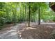 Expansive backyard with gravel and leaf ground cover, mature trees and a wooden shed at 7916 Foxwood Dr, Raleigh, NC 27615