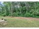 Green backyard featuring lawn and woods at 111 S Rose Hill Dr, Clayton, NC 27520