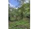 Pond with lush surroundings at 4053 Friendship Patterson Mill Road, Burlington, NC 27215