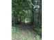 Secluded wooded area with a walking path at 4053 Friendship Patterson Mill Road, Burlington, NC 27215