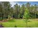 Large, well-manicured backyard featuring a treehouse and tall mature trees at 46 Lakes Edge Ln, Pittsboro, NC 27312