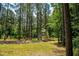 Tranquil backyard showcasing a charming treehouse with a small bridge over a creek, surrounded by trees at 46 Lakes Edge Ln, Pittsboro, NC 27312