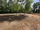View of the side of the home and the yard that needs new sod or seed at 8505 Ray Rd, Raleigh, NC 27613