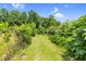 Landscape view of lawn with trees, shrubs, and natural growth, with a blue sky overhead at 280 Phillips Rd, Selma, NC 27576