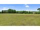 Large grassy field of green with trees in the background on a sunny day at 280 Phillips Rd, Selma, NC 27576
