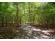 Natural gravel path leading through a tranquil forest, framed by lush trees and vegetation at 293 Carolina Oaks Ave, Smithfield, NC 27577