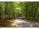 Serene gravel walking path winding through a lush forest with dappled sunlight at 293 Carolina Oaks Ave, Smithfield, NC 27577