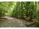 Scenic walking path with park bench, surrounded by lush trees and natural landscaping at 293 Carolina Oaks Ave, Smithfield, NC 27577