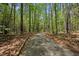 Tree-lined walking path that shows the natural beauty, perfect for nature strolls and exercise at 3007 Appling Way, Durham, NC 27703