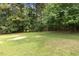 Wide shot of the backyard, showing lush greenery, and mature trees providing privacy at 853 Bluffcreek Dr, Fuquay Varina, NC 27526