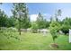 The front yard of the home has lush green grass, trees, and a black fence in the back at 9 Moss Side Ter, Durham, NC 27703