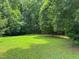 Beautiful backyard featuring lush green grass and mature trees at 100 Deer Ridge Rd, Siler City, NC 27344