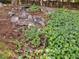 Rock garden with rock steps, mulch ground covering, and lush green plants at 128 Castlewood Dr, Cary, NC 27511