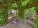 Patio with lush greenery, an ivy-covered pergola, bench and firepit seating area at 128 Castlewood Dr, Cary, NC 27511