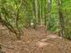 Serene path winding through the wooded area of the property at 128 Castlewood Dr, Cary, NC 27511