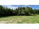 Vast backyard with a grassy field and towering trees under a sunny, partially cloudy sky at 176 Bonsai Way, Four Oaks, NC 27524