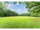 Lush and green backyard with a backdrop of mature trees under a sunny sky at 2139 Race Track Rd, Burlington, NC 27215